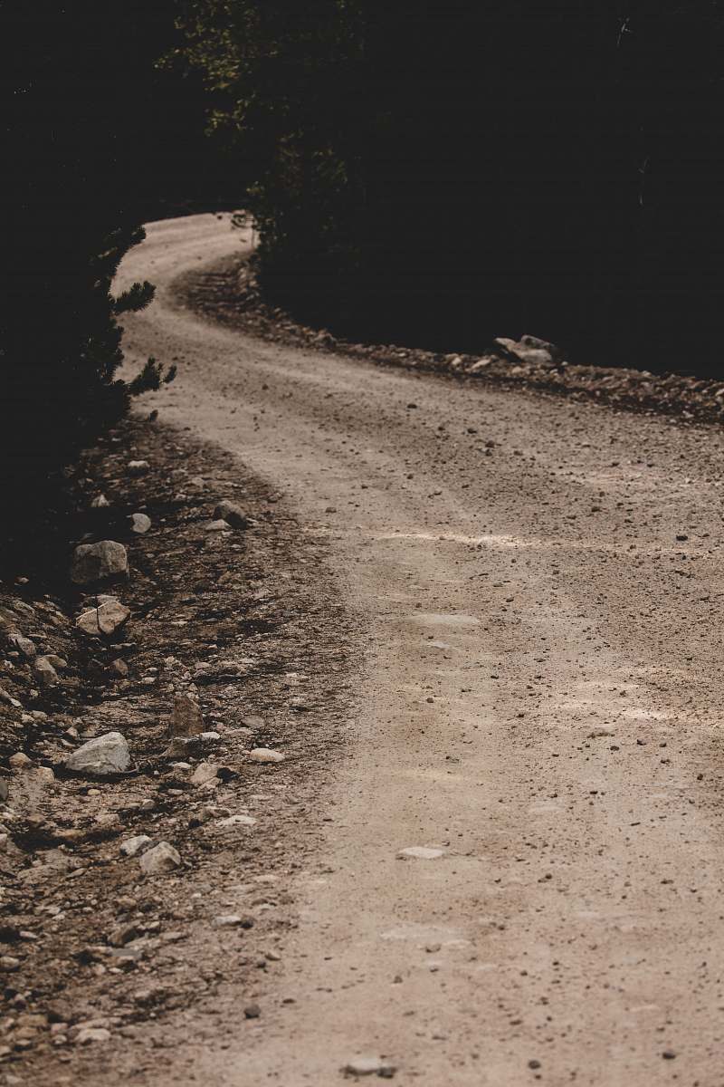 dirt road rough curved road in between trees gravel